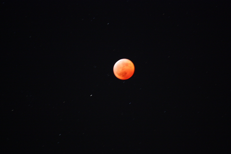 皆既月食 撮ってはみましたが・・。 12月21日_f0113639_2004780.jpg