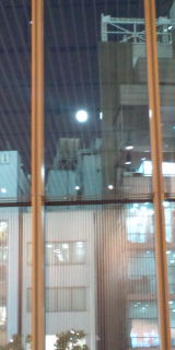 d0053041_0233990.jpg