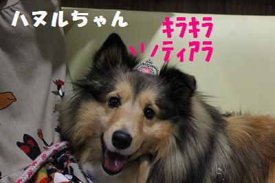 シェルレスX\'masパーティの中~♪_e0195743_1535142.jpg