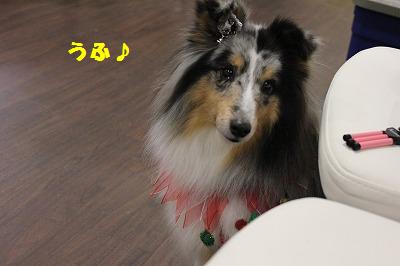 シェルレスX\'masパーティの中~♪_e0195743_15362831.jpg