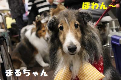 シェルレスX\'masパーティ~大ビンゴ大会~♪_e0195743_2121689.jpg