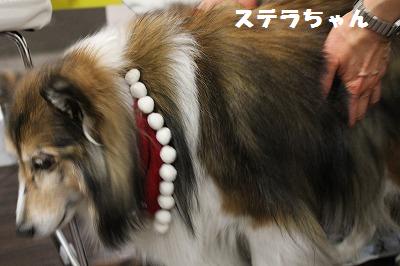 シェルレスX\'masパーティ~大ビンゴ大会~♪_e0195743_213387.jpg