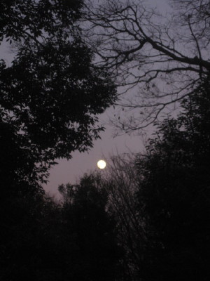 e0121548_103547.jpg