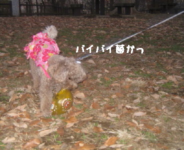 e0121548_103631.jpg