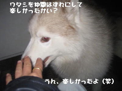 e0121548_1073061.jpg