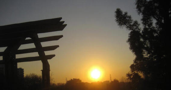 e0121548_9434728.jpg