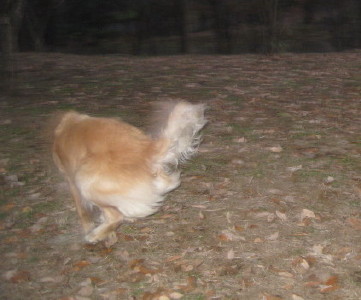 e0121548_958938.jpg