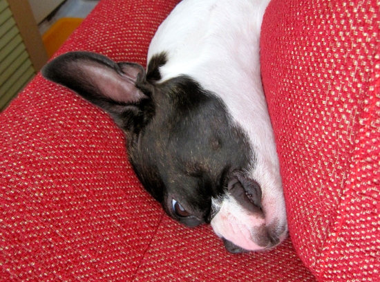 b0209455_235116100.jpg
