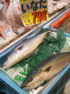 e0044855_22402412.jpg