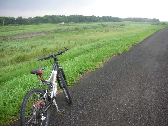 f0196856_17531896.jpg