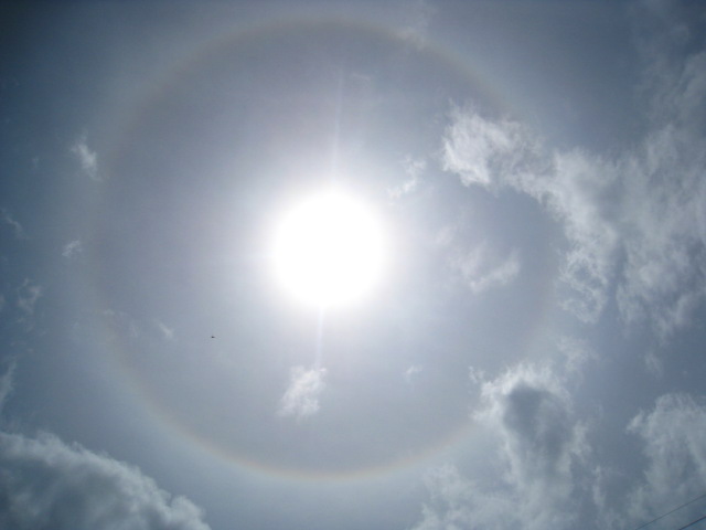 b0160957_6221276.jpg