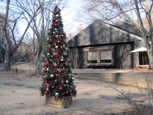 f0236260_1849980.jpg