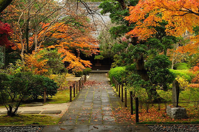 中院 ~紅葉~_f0222161_2119515.jpg