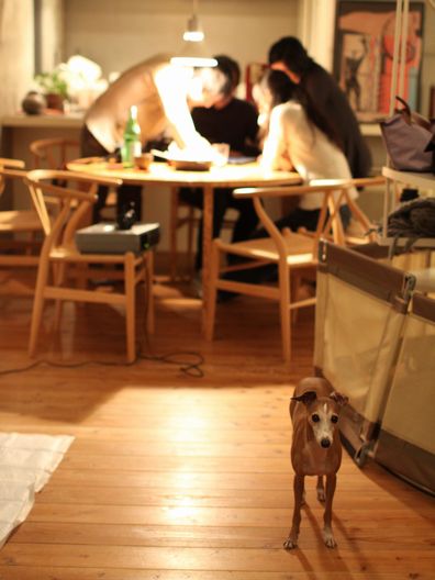 終わらない「うたげ」のかたすみで。_f0158862_2051520.jpg