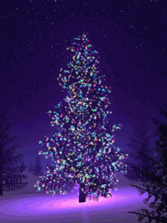 a0063364_22502849.gif
