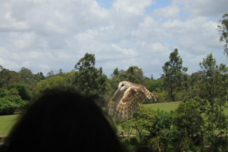 a0154765_2327695.jpg