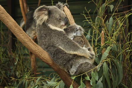 a0154765_23424099.jpg