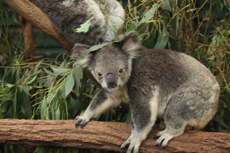 a0154765_23431579.jpg
