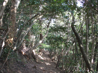 福岡の史跡・筑前荒平山（安楽平城跡）_d0067165_1918486.jpg