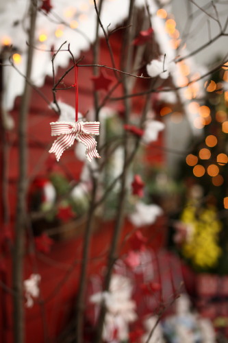 花の美術館、クリスマス・デコ_d0110380_234210100.jpg