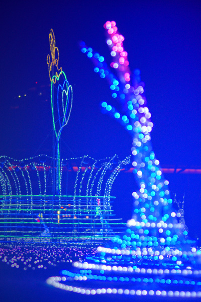 c0203584_64227.jpg