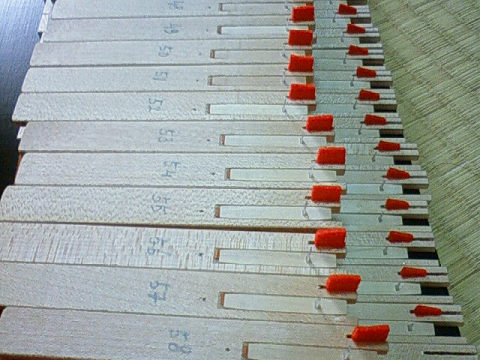 f0018790_8495889.jpg