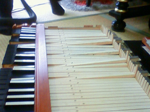 f0018790_8532794.jpg