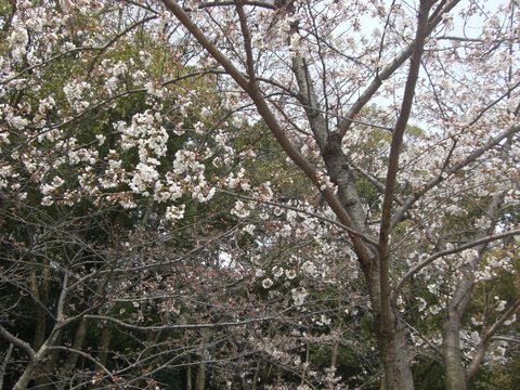 今年も１年・・・_b0204691_17421772.jpg