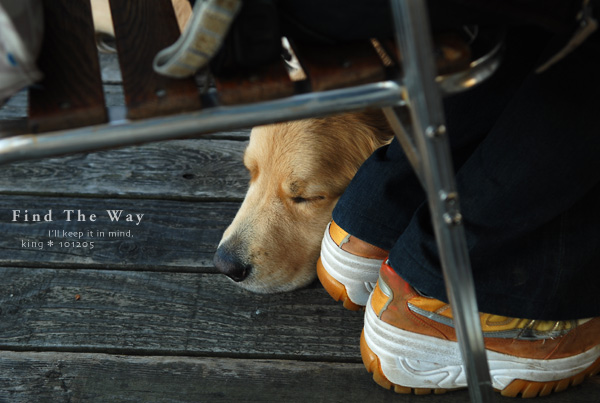 【犬的散歩日和】千葉・Mother Moon Café さん_f0054594_76407.jpg
