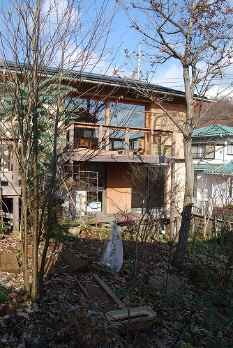 12月の庭…_c0124100_17533718.jpg