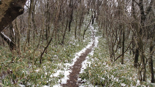 f0036700_1513452.jpg