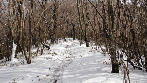 f0036700_1514932.jpg