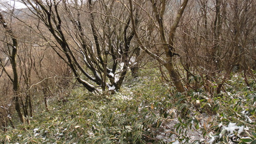 f0036700_1523782.jpg