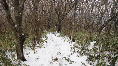 f0036700_154560.jpg