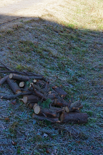 c0156908_8181115.jpg