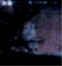 e0103408_1421969.gif