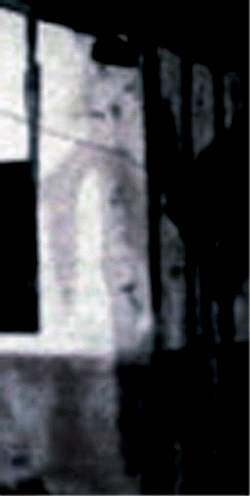 e0103408_1431456.gif
