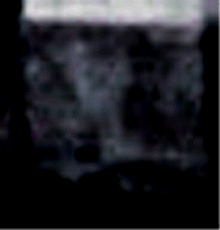e0103408_14331278.gif