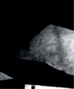e0103408_14334181.gif