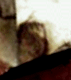 e0103408_14344235.gif