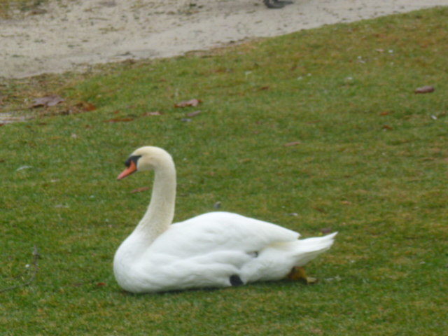 a0144811_11175563.jpg