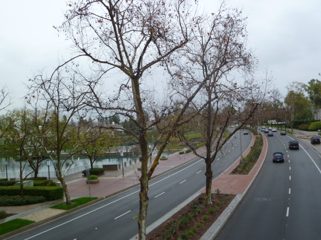 a0144811_11194473.jpg
