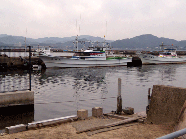 b0159611_1201549.gif