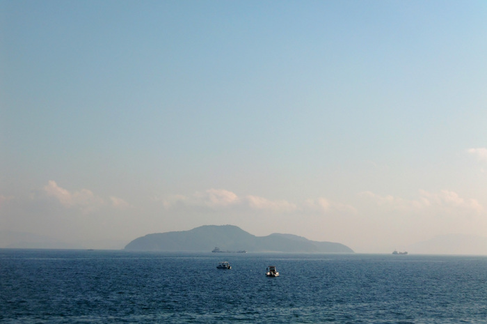 b0130112_17515.jpg