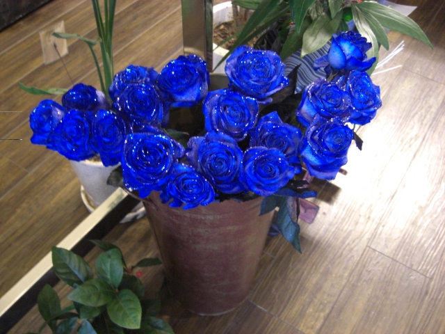 キラキラひかる青いバラ_f0226713_15384555.jpg