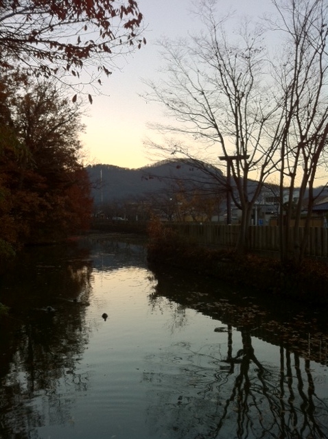 f0225414_06054.jpg