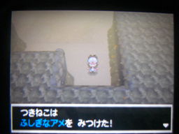 ポケットモンスターブラック縛りプレイ 古代の城 つきねこの日記