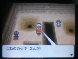 ポケットモンスターブラック縛りプレイ 古代の城 つきねこの日記