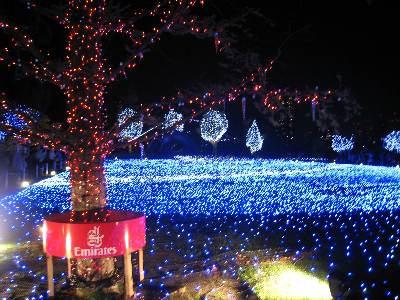 東京ミッドタウンのクリスマスデコレーション_c0204333_23544348.jpg