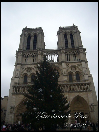 f0031138_74498.jpg